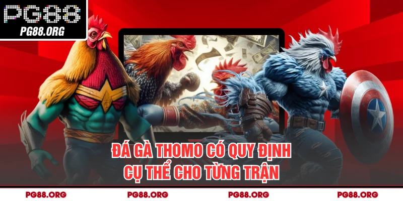Đá gà thomo có quy định cụ thể cho từng trận